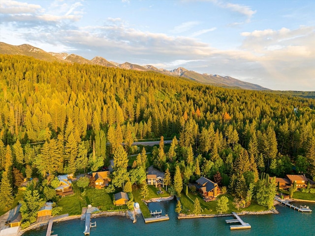 34777 Compass Ln, Polson, MT 59860 - bird's eye view of a heavily wooded area and a water and mountain view