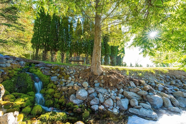 34777 Compass Ln, Polson, MT 59860 - view of yard