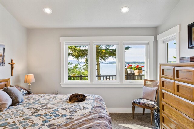 34777 Compass Ln, Polson, MT 59860 - carpeted bedroom featuring multiple windows, baseboards, and recessed lighting