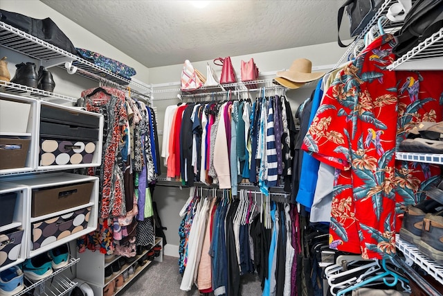34777 Compass Ln, Polson, MT 59860 - walk in closet featuring carpet