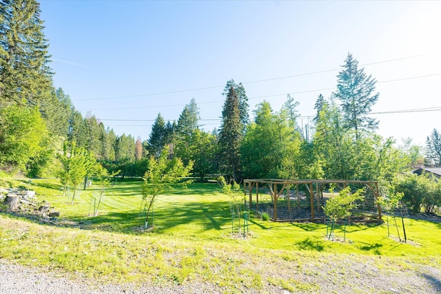 34777 Compass Ln, Polson, MT 59860 - view of grassy yard