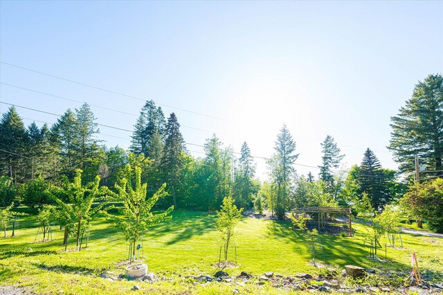 34777 Compass Ln, Polson, MT 59860 - view of grassy yard