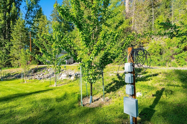 34777 Compass Ln, Polson, MT 59860 - view of grassy yard