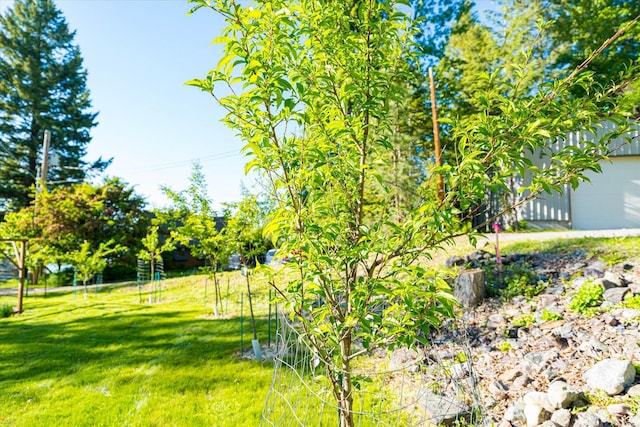 34777 Compass Ln, Polson, MT 59860 - view of green lawn
