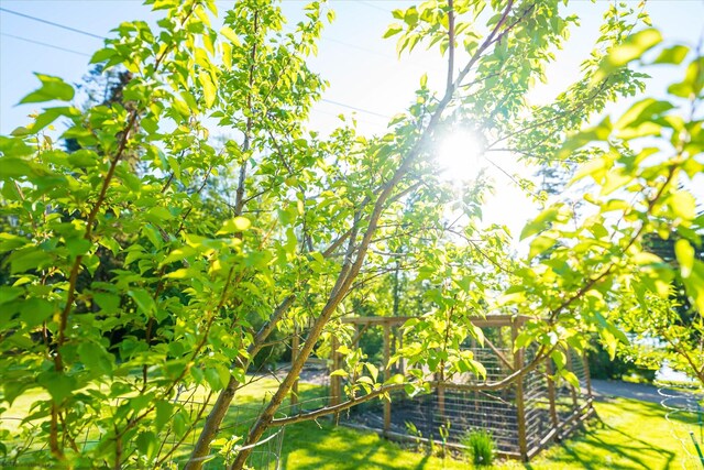 34777 Compass Ln, Polson, MT 59860 - view of yard