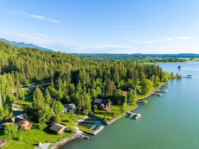 34777 Compass Ln, Polson, MT 59860 - bird's eye view of a heavily wooded area and a large body of water
