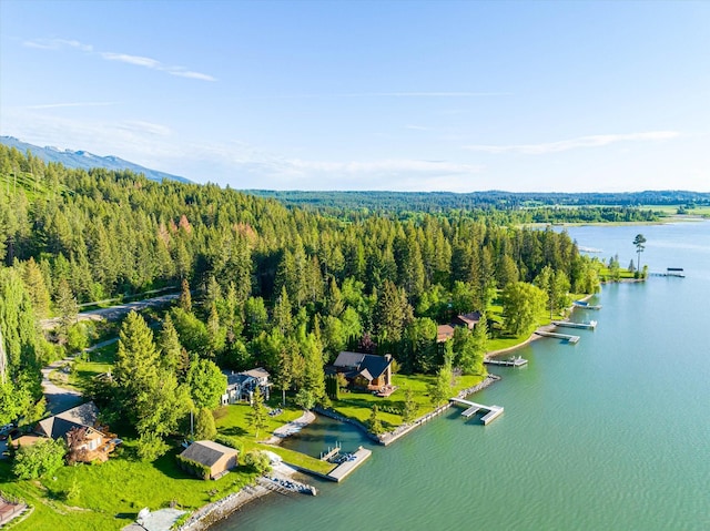 34777 Compass Ln, Polson, MT 59860 - aerial view of a forest and a nearby body of water