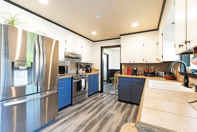 239 Essex St, Lolo, MT 59847 - kitchen with appliances with stainless steel finishes, under cabinet range hood, a sink, blue cabinets, and ornamental molding