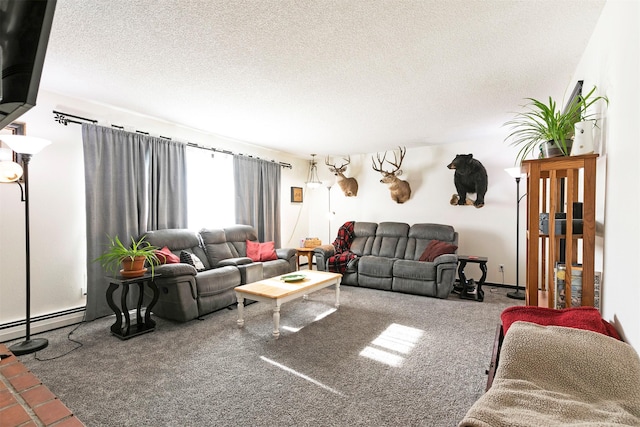 239 Essex St, Lolo, MT 59847 - living room featuring a textured ceiling, carpet floors, and a baseboard radiator