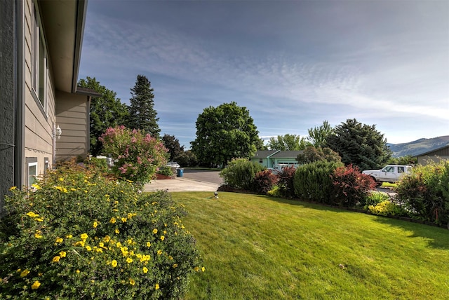 239 Essex St, Lolo, MT 59847 - view of green lawn