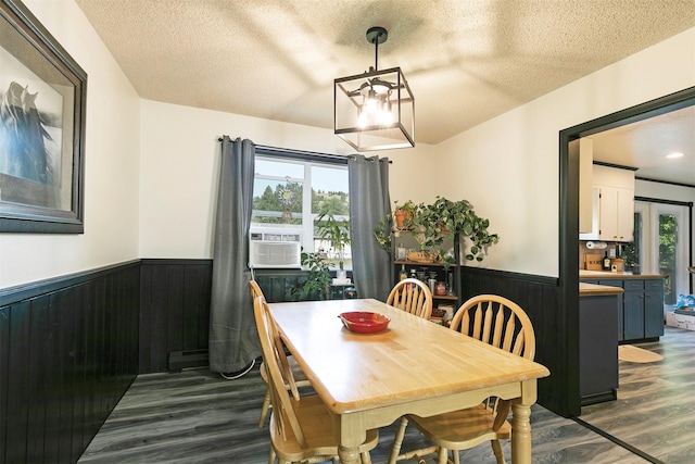 239 Essex St, Lolo, MT 59847 - dining area with wainscoting, dark wood-style floors, plenty of natural light, baseboard heating, and a textured ceiling