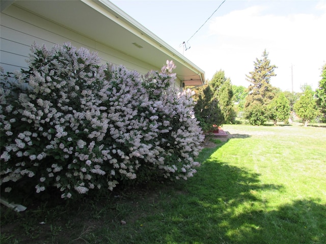 706 49th St S, Great Falls, MT 59405 - view of grassy yard