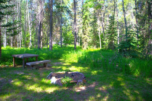 189 Dawn Dr, Columbia Falls, MT 59912 - view of yard