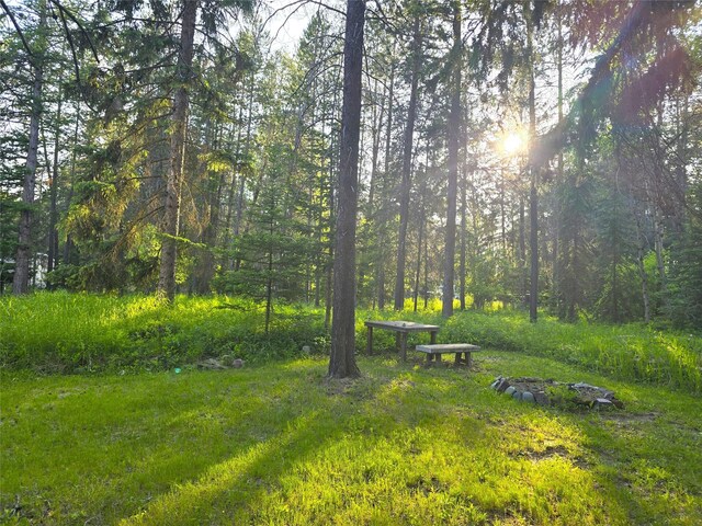 189 Dawn Dr, Columbia Falls, MT 59912 - view of yard