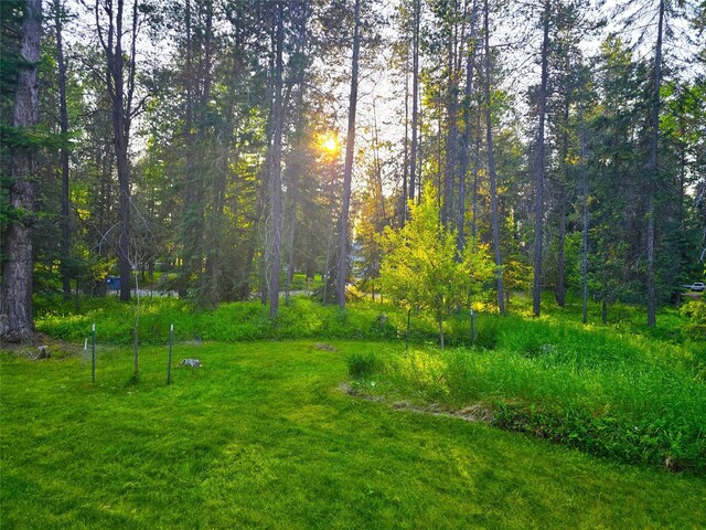 189 Dawn Dr, Columbia Falls, MT 59912 - view of grassy yard