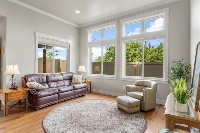 2390 38th St, Missoula, MT 59801 - living area featuring ornamental molding, light wood finished floors, baseboards, and recessed lighting