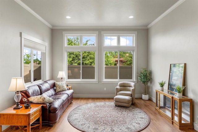 2390 38th St, Missoula, MT 59801 - living room with plenty of natural light, wood finished floors, crown molding, and baseboards