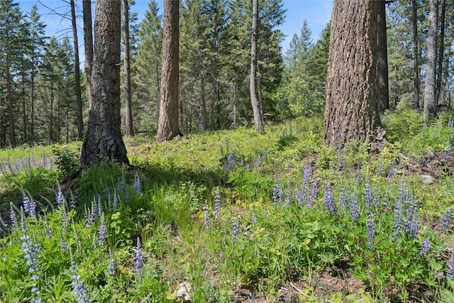 765 Lindsey Ln, Kalispell, MT 59901