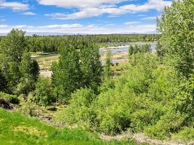 45 Panoramic Dr, Kalispell, MT 59901 - bird's eye view of a water and mountain view and a forest