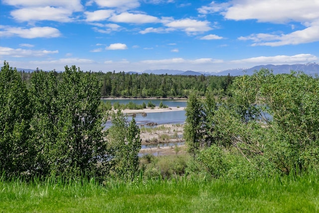 45 Panoramic Dr, Kalispell, MT 59901 - water view featuring a mountain backdrop and a heavily wooded area