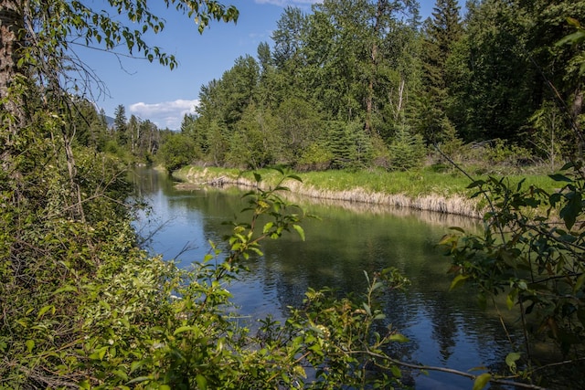 1265 Jellison Rd, Columbia Falls, MT 59912 - water view featuring a heavily wooded area