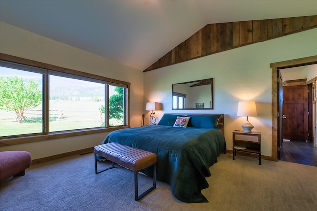 6659 Lamar Trl, Florence, MT 59833 - carpeted bedroom with lofted ceiling and baseboards