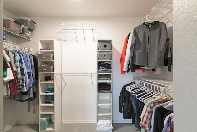 10190 Kona Ranch Rd, Missoula, MT 59808 - spacious closet with carpet flooring