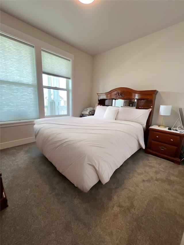 2883 Adam Run Ave, Helena, MT 59601 - view of carpeted bedroom