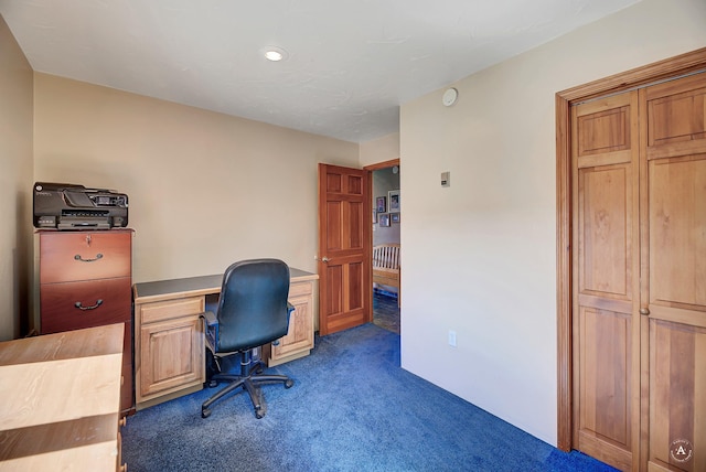3380 Moulton Reservoir Rd, Butte, MT 59701 - home office featuring carpet flooring and recessed lighting