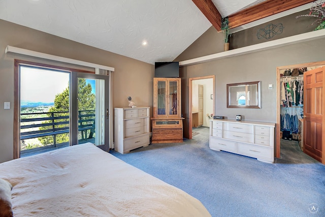 3380 Moulton Reservoir Rd, Butte, MT 59701 - bedroom featuring light colored carpet, access to outside, a spacious closet, ensuite bath, and a closet