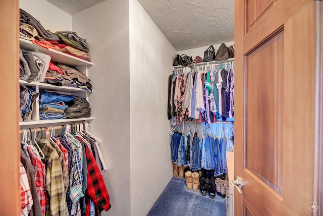 3380 Moulton Reservoir Rd, Butte, MT 59701 - view of spacious closet