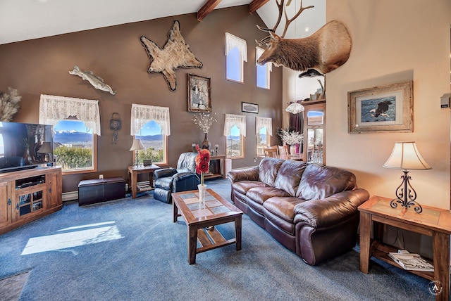 3380 Moulton Reservoir Rd, Butte, MT 59701 - living room with beamed ceiling, high vaulted ceiling, carpet floors, and a baseboard heating unit