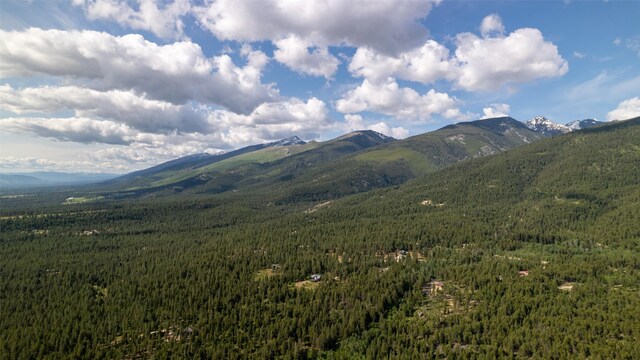 1062 Bear Creek Trl, Victor, MT 59875 - view of mountain backdrop with a forest