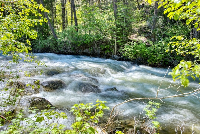 1062 Bear Creek Trl, Victor, MT 59875 - view of pool with a forest view