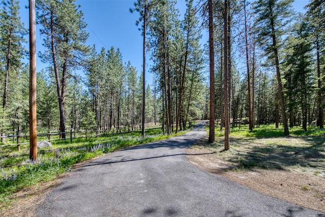 1062 Bear Creek Trl, Victor, MT 59875 - view of road featuring a wooded view