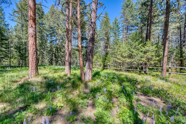 1062 Bear Creek Trl, Victor, MT 59875 - view of woods