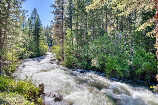 1062 Bear Creek Trl, Victor, MT 59875 - view of tree filled area