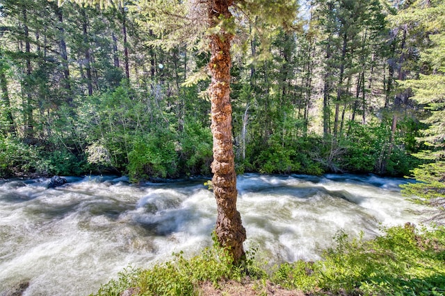 1062 Bear Creek Trl, Victor, MT 59875 - view of yard with a view of trees