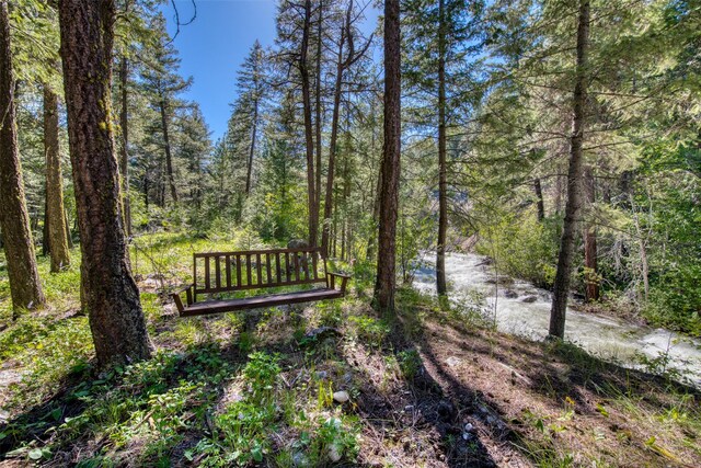 1062 Bear Creek Trl, Victor, MT 59875 - view of community featuring a view of trees