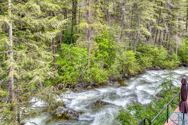 1062 Bear Creek Trl, Victor, MT 59875 - view of wooded area