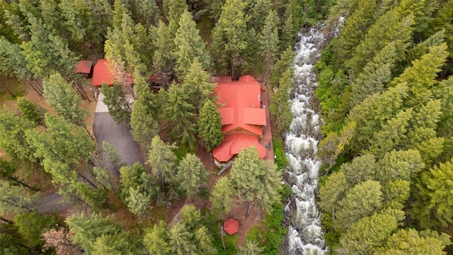 1062 Bear Creek Trl, Victor, MT 59875 - drone / aerial view of a forest