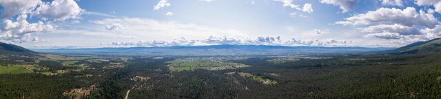 1062 Bear Creek Trl, Victor, MT 59875 - mountain view