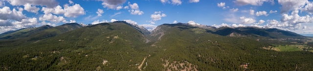 1062 Bear Creek Trl, Victor, MT 59875 - view of mountain background with a forest