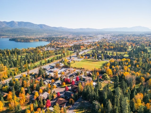 1331 Nelson Lane Cabins H & I, Whitefish, MT 59937 - aerial view of property's location with a water and mountain view and a forest