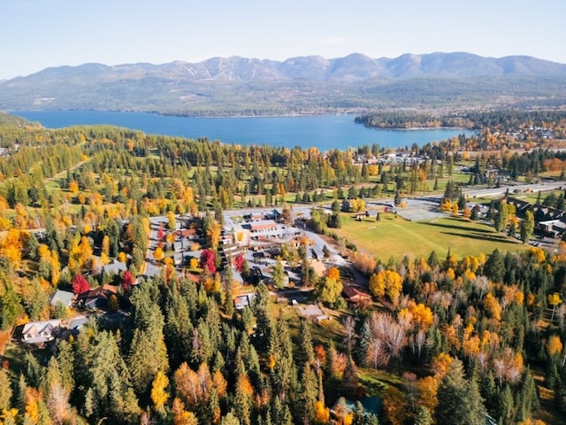 1331 Nelson Lane Cabins H & I, Whitefish, MT 59937 - aerial overview of property's location with a water and mountain view and a heavily wooded area