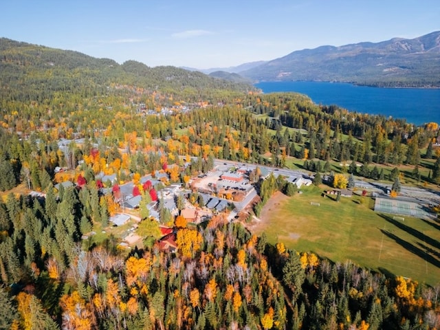1331 Nelson Lane Cabins H & I, Whitefish, MT 59937 - view of property location with a heavily wooded area and a water and mountain view