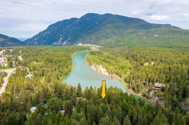 135 Gamma Rd, Hungry Horse, MT 59919 - view of mountain backdrop featuring a heavily wooded area and a nearby body of water