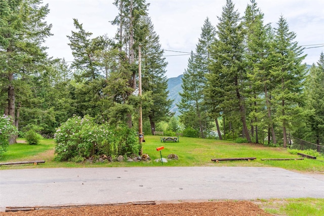 135 Gamma Rd, Hungry Horse, MT 59919 - view of home's community featuring a mountain view and a lawn