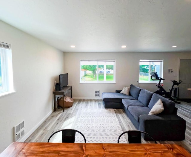 1203 1st St E, Polson, MT 59860 - living room with light wood-type flooring, recessed lighting, and baseboards