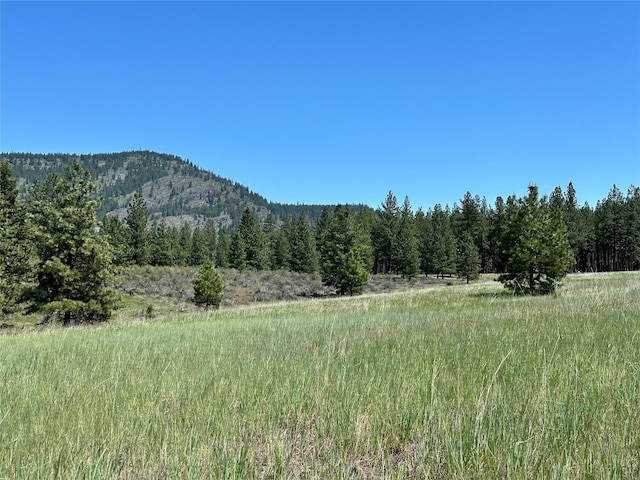NHN River Rd W, Plains, MT 59859